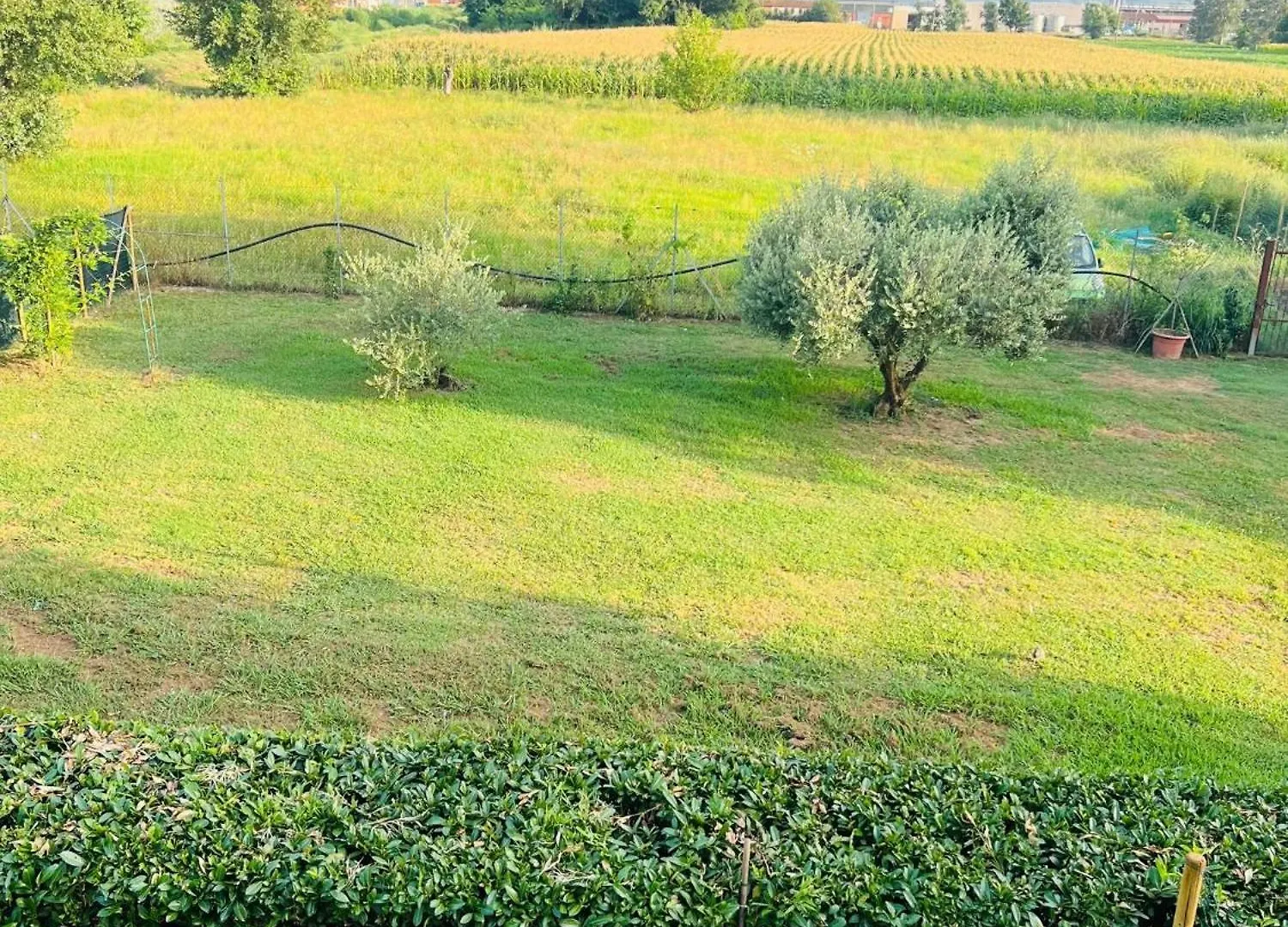 Green Garden Villa Lucca Capannori Holiday home
